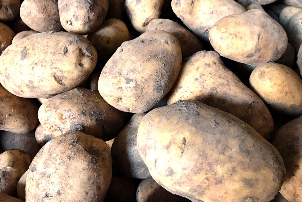 Compra directa de patatas